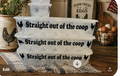 Egg Crate - "Straight Out of the Coop"